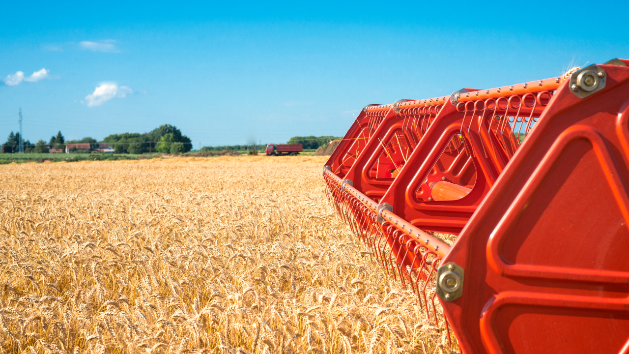 Satisfacción de la demanda alimentaria de la UE