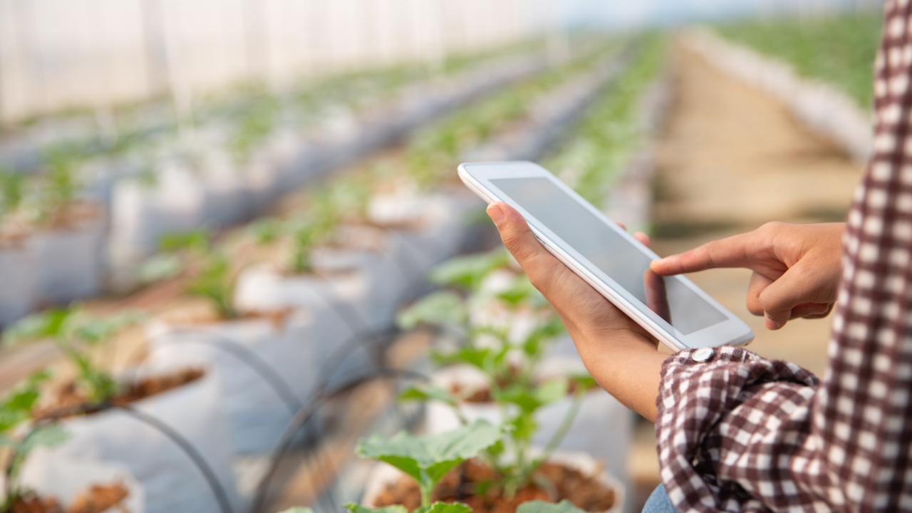 transformation numérique de l'agriculture via des fermes sans papier